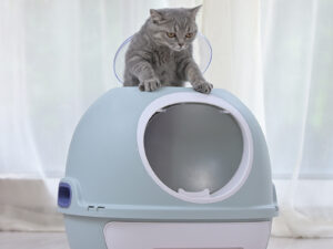 Troublemaker Top-in Fully Enclosed Litter Box