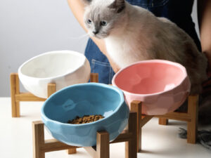Pet bowl oblique mouth cat bowl food bowl dog bowl method bucket food bowl