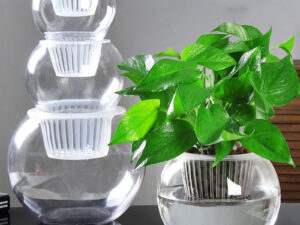 Household plant pots